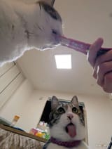 MRbajrWoDwRpulbP