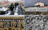 falklands_2247938b