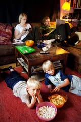 suedimys