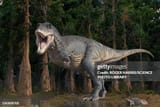 image_2025-07-04_170450283