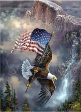 5D-DIY-Diamond-Painting-Kits-Adults-Kids-Eagle-American-Flag-Full-Drill-Embroidery-Cross-Stitch-Crystal-Rhinestone-Paintings-Pictures-Arts-Wall-Decor_9081aee8-ffd5-4abe-8d1e-ea0d1beac441.28f774db2b2c7b9f8e6a9921c061aa80