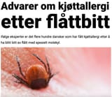 dødelig danske