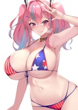 brem usa bikini