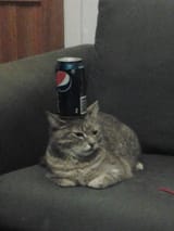 1600143401434