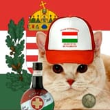 Leave it to hungarians