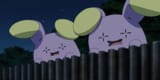 pokemon-whismur-looking-dark-background