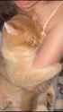 go away_thumb.jpg