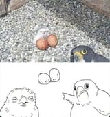 Can-you-draw-it-better-1744430214791