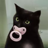 meme_cat_with_pacifier_by_ksenia455_dgmpkis-fullview