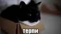 17516457400430_thumb.jpg