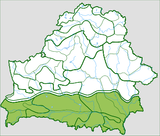 Палеская_правінцыя_(2001).svg