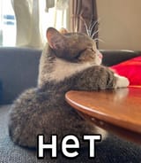 leave now
