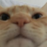 1597018563232