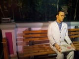 forrest