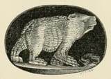 Uc2.ark_13960_t8rb76g72-seq_369_%28cropped_Bear%29