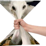 1738943228717153