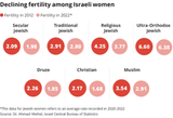 kike-fertility