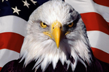 ameriga
