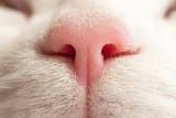 images (10)