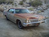 caprice