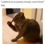 listens-country-music-one-time-adorablecatskittens