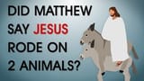 bible riding on donkey and colt at the same time
