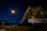 gettyimages-185654399-612x612