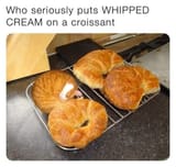 cat croissant