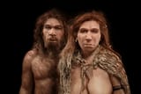 neanderthals