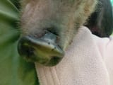 IMG_COM_202507051428052390