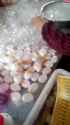 132123 (267)_thumb.jpg