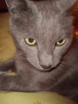 IMG-20250604-WA0022