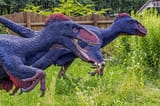 Feathers-scaled-3198665622