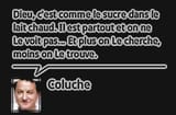 citation-coluche