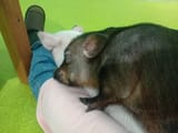 IMG_COM_2025070518083439210