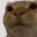 my honest reaction_thumb.jpg