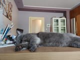 IMG_20250705_140719