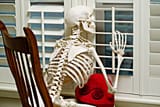 waiting-for-true-love