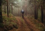 test_cykeldator-493943609