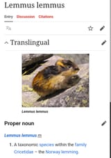 Fotfitte Armgnager