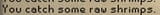 1750457938592769