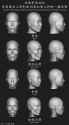 asian skull compared to caucasian skull_thumb.jpg