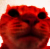 1551189105536