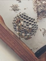 20250705_083319_Gallery