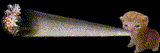 1743646843711288