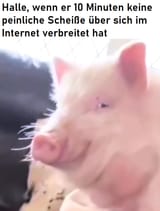 1723243666021327