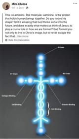 1731421722869