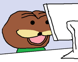 43565685