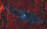 squid nebula