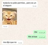 permiso
